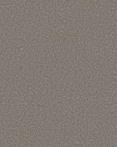 Timeless Tone Night Owl 58oz Textured Pet Friendly Carpet