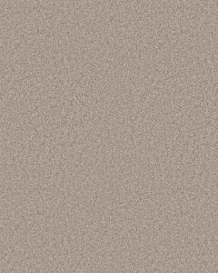 Timeless Tone Blissful Blush 58oz Textured Pet Friendly Carpet