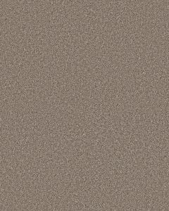 Timeless Tone Warm Sunset 58oz Textured Pet Friendly Carpet