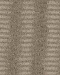 Knitted Tone Latte 40oz Patterned Loop Pet Friendly Carpet