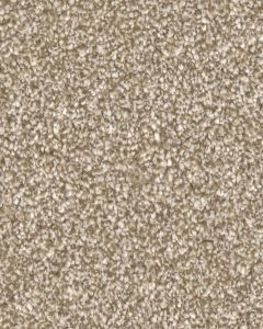 Stonecrest Heartfelt Textured 105oz PET Cloud 9 Carpet