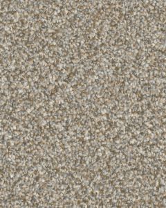 Stonecrest Devoted Textured 105oz PET Cloud 9 Carpet