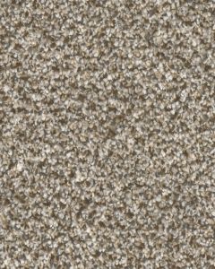 Stonecrest Chateau Textured 105oz PET Cloud 9 Carpet