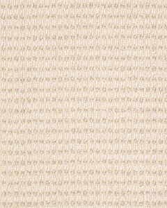 Abbeys Road Pattern Pet Friendly Carpet