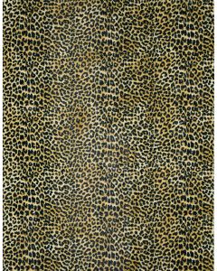 Akina AK2 Gold Area Rug