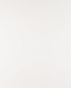 Arctic White Quartz Countertop