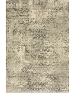 Astor 1806q Beige/Grey Area Rug