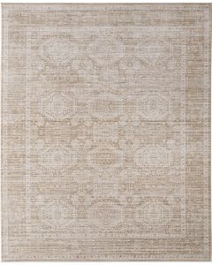 Augustine 39TUF Tan/Ivory Area Rug