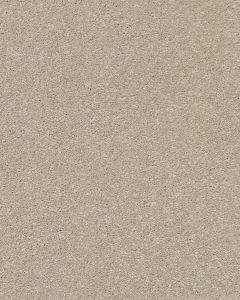 Basic Rules 58oz Textured Pet Friendly Carpet