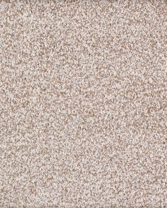 Calm Retreat Kashmere Nylon Textured Carpet