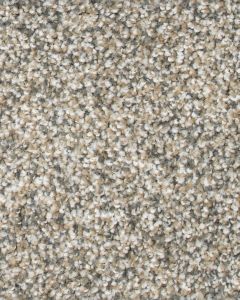 Captivating Presence Textured Kashmere Carpet