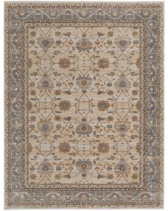 Celene 39KVF Tan/Ivory/Gray Area Rug