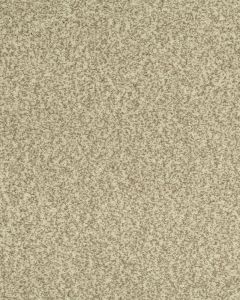 Cherished Tradition Bare Necessities Kashmere Carpet