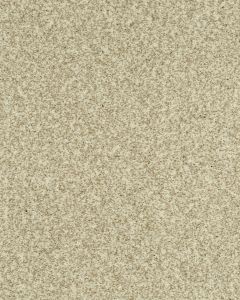 Cherished Tradition Haven Kashmere Carpet