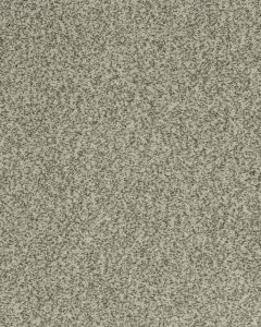 Cherished Tradition Raven Kashmere Carpet