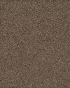 Classical Approach SmartStrand 70oz Carpet