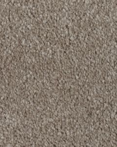 Clever Fashion II SmartStrand Textured Carpet