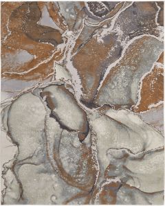 Clio 39K5F Gray/Brown Area Rug