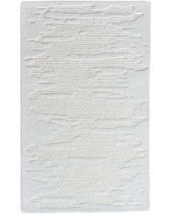 Denali Ivory Reflection Area Rug