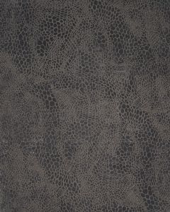 Desire DSR08 Charcoal Silver Area Rug