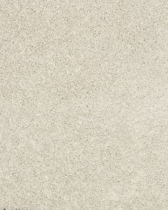 Diffurent Choice II 45oz Pet Friendly Carpet