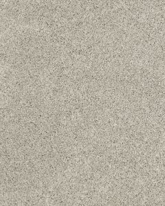 Diffurent Choice III 58oz Pet Friendly Carpet