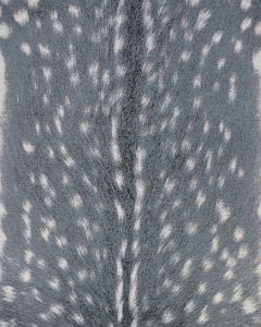 Dolce Hyena Denim-Silver Area Rug