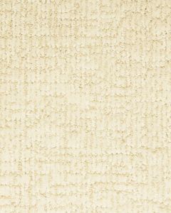 Turner Pond Patterned Nylon Carpet