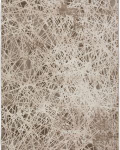 Denizi DZ4 Taupe Area Rug