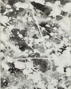 Evolution 8035b Charcoal/White Area Rug