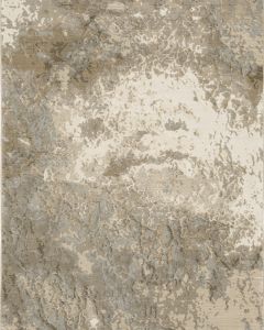Evolution 960a Beige/Grey Area Rug