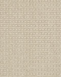 Fetch Pet Friendly Nylon 31oz Pattern Carpet