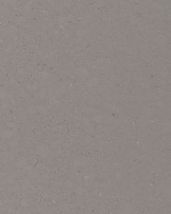 Fossil Gray Quartz Countertop