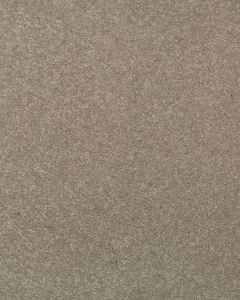Stylish Grace Textured 55oz SmartStrand Carpet