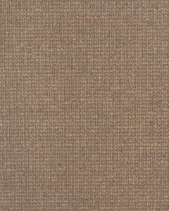 Brookhaven III Tahiti Carpet