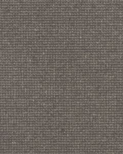Brookhaven III Pewter Carpet
