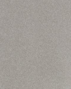 Impressive Shades Textured 50oz Carpet