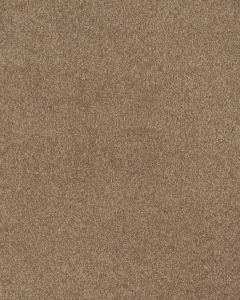 Opulent Tradition Textured Nylon 65oz Carpet