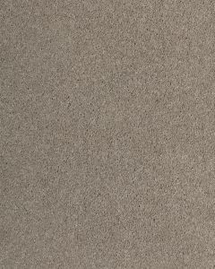 Luxurious Hues Textured SmartStrand 55oz Carpet