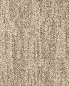 True North Patterned Nylon Blend Carpet