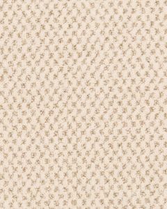 Timeless Effects Patterned 45oz SmartStrand Carpet