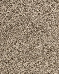 Candor Balsam Carpet