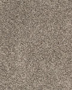 Candor Versatile Carpet