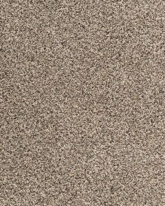 Candor Artful Carpet