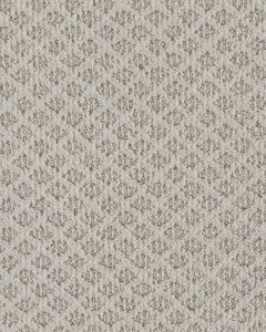 Xpressions Patterned Smartstrand 30oz Carpet
