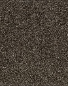 Gentle Quality Kashmere Nylon Carpet