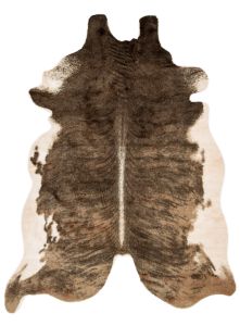 Grand Canyon GC-01 Camel/Beige Area Rug