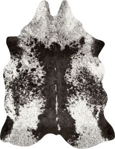 Grand Canyon GC-03 Ivory/Charcoal Area Rug