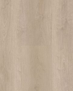 Cali Windansea High Tide Hermosa Coast Vinyl