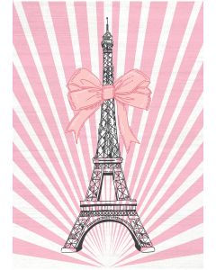 Imagination IMA17 Pink Area Rug